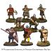 Norman Warband Norman Warband