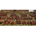 Early Imperial Roman Legionaries Attacking