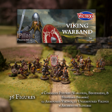 Viking Warband