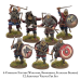 Viking Warband