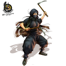 Fujiko the Ninja
