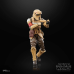 Shoretrooper Black Series  