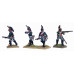 French Napoleonic Dragoons