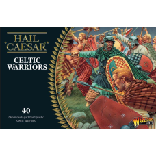 Ancient Celts Celtic Warriors