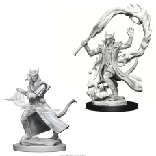 Tiefling Sorcerer - D&D Nolzur's Marvelous Miniatures