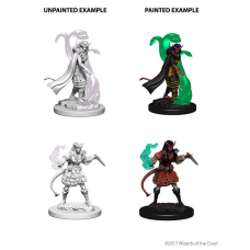 Tiefling Sorcerer Female - Nolzur's Marvelous Miniatures