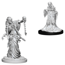 Green Hag & Night Hag - Nolzur's Marvelous Miniatures