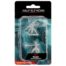 Monk Female Half-Elf - D&D Nolzur's Marvelous Miniatures