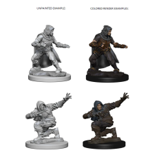 Human Rogue Male - Pathfinder Deep Cuts Unpainted Miniatures