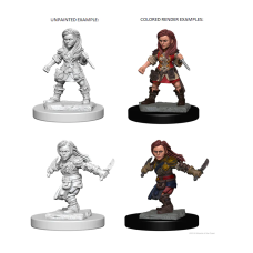 Halfling Female Rogue D&D Nolzur's Marvelous Miniatures