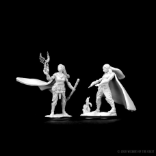 Elf Female Druid D&D Nolzur's Marvelous Miniatures