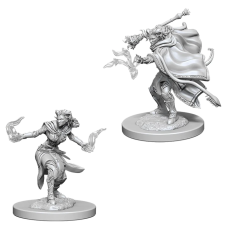 Tiefling Female Warlock - D&D Nolzur's Marvelous Miniatures 