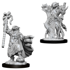 Female Dragonborn Sorcerer - D&D Nolzur's Marvelous Miniatures