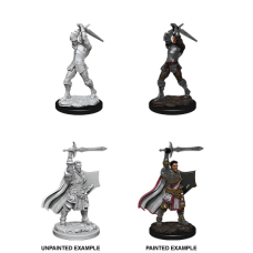 Male Human Paladin - D&D Nolzur's Marvelous Miniatures Male Human Paladin - D&D Nolzur's Marvelous Miniatures