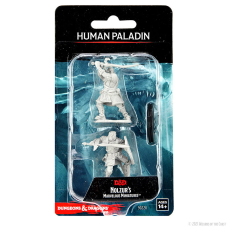 Paladin Human Male  - D&D Nolzur's Marvelous Miniatures