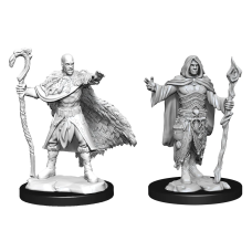 Human Druid Male - D&D Nolzur's Marvelous Miniatures