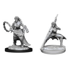 Human Monk Female - D&D Nolzur's Marvelous Miniatures