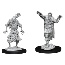 Scarecrow & Stone Cursed - D&D Nolzur's Marvelous Miniatures