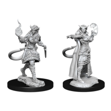 Tiefling Female Sorcerer Nolzur`s Marvelous Miniatures