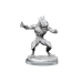 Nothics - D&D Nolzur's Marvelous Miniatures